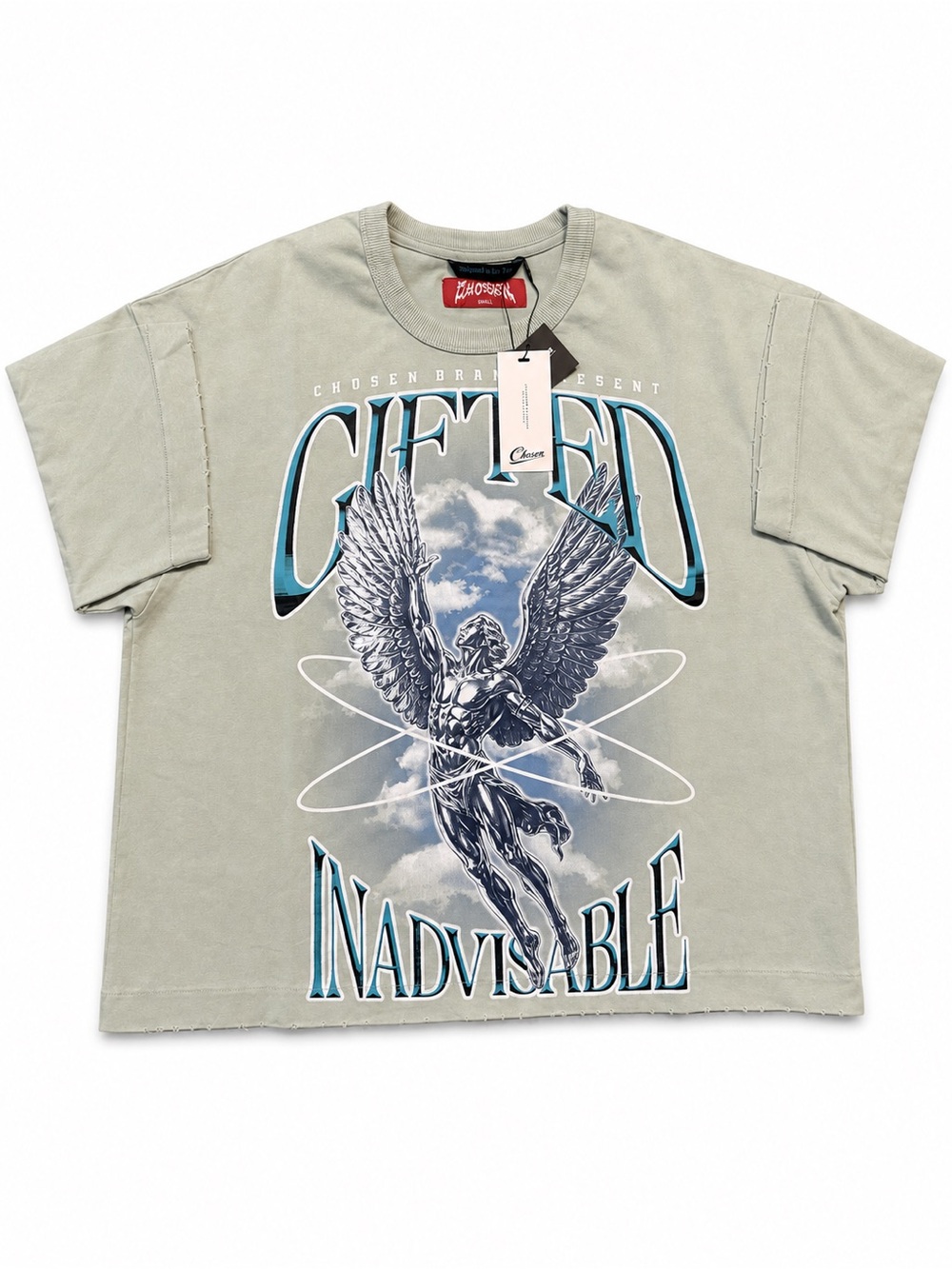 Chosen Brand Angel Graphic Tee Mens Small Frosted Green Y2K Oversized NWT